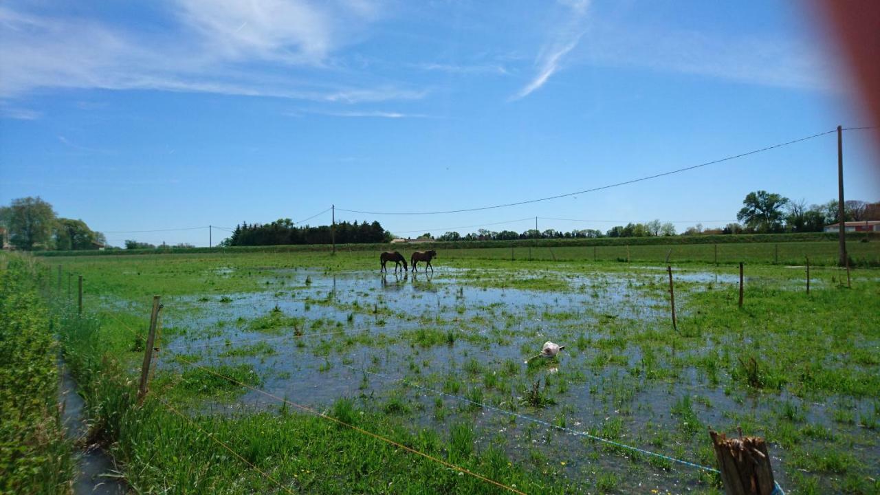 Raphèle Les Prairies Mas Roux 게스트하우스 외부 사진